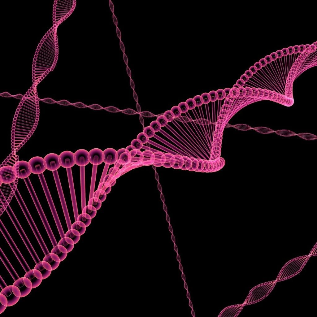 dna, molecules, biology, module, dna, dna, dna, dna, dna