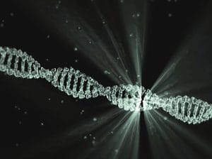 dna, project lumina, walter waymann, dna, dna, dna, dna, dna